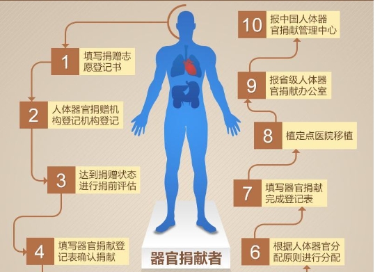遗体和人体器官捐献