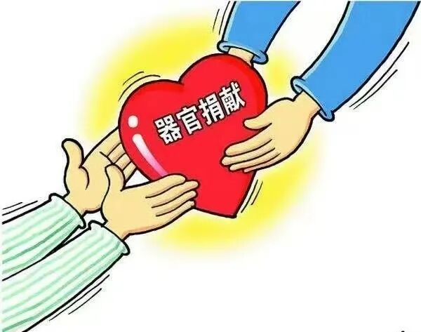 人体器官捐献常见问题解答